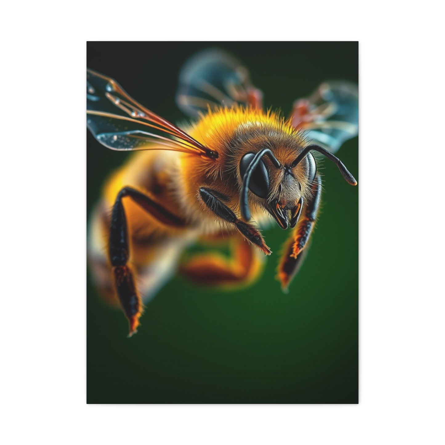 Supreme Bees Art Collection Wall Art & Canvas Print