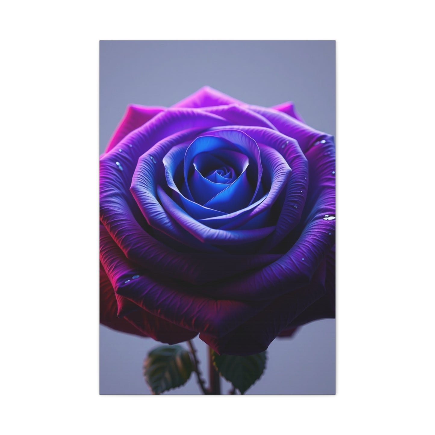 Elite Rose Art Vision Wall Art & Canvas Print