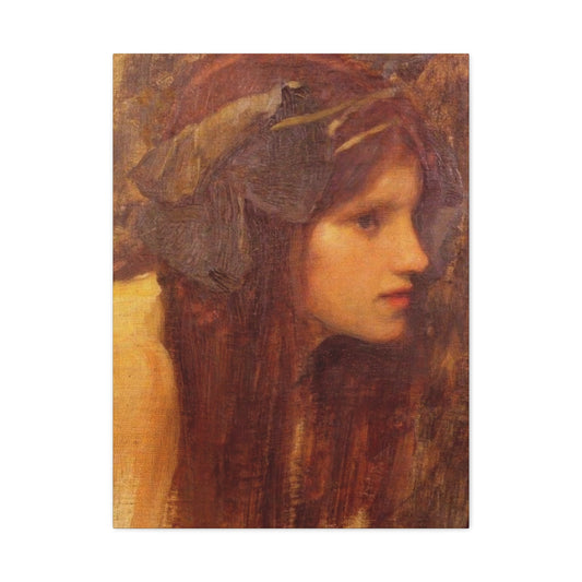 John William A Naiad Study Wall Art & Canvas Prints