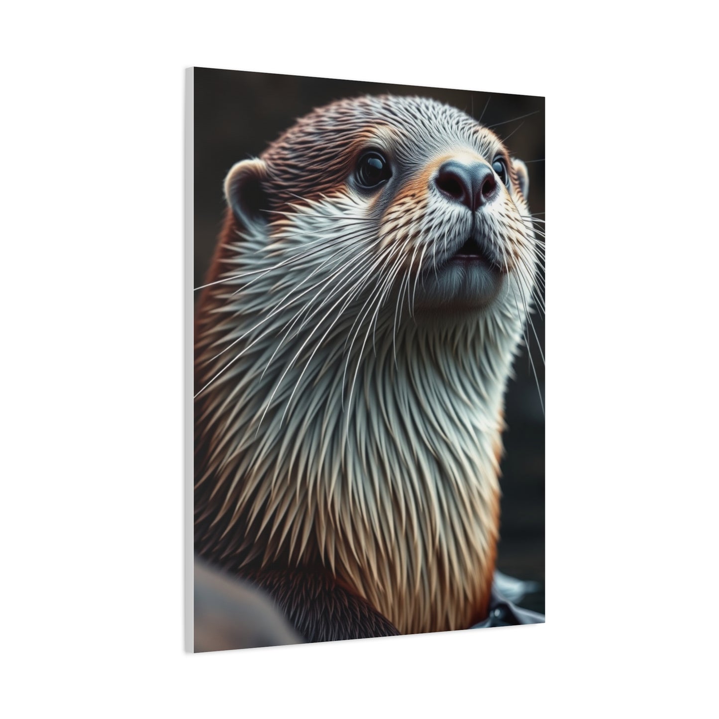 Supreme Otter Art Collection Wall Art & Canvas Print