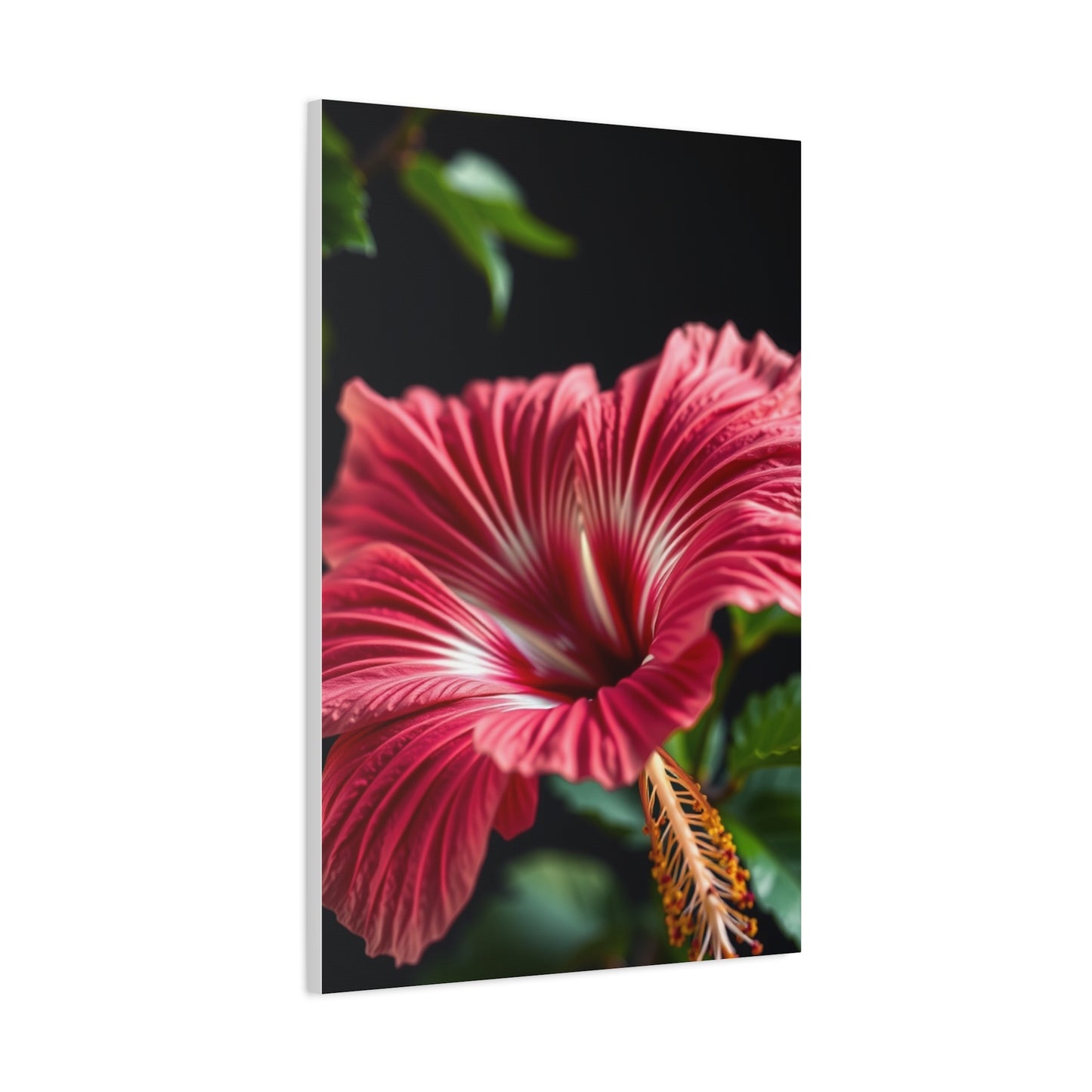Hibiscus Flower Art Supreme Gallery Wall Art & Canvas Print