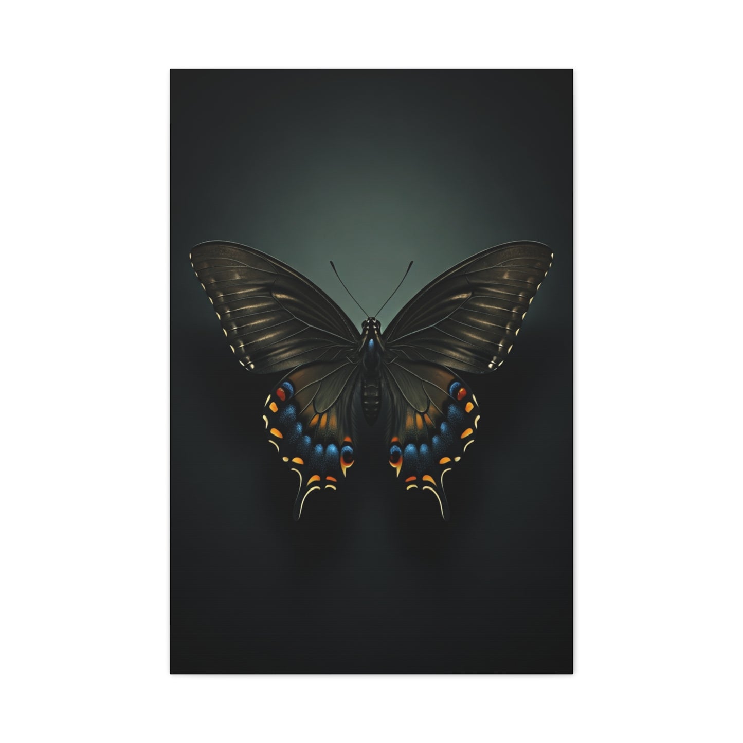 Midnight Swallowtail Butterfly with Jewel Wing Accents Wall Art & Canvas Prints