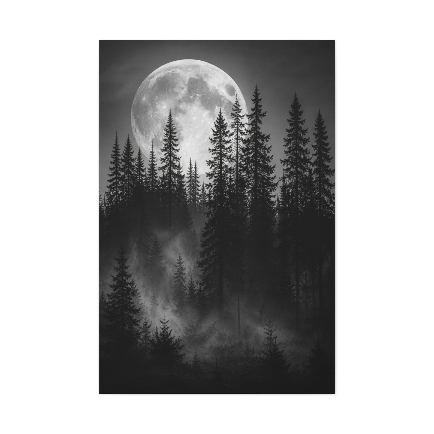 Moonlit Pine Forest Mystical Night Trees Wall Art & Canvas Print
