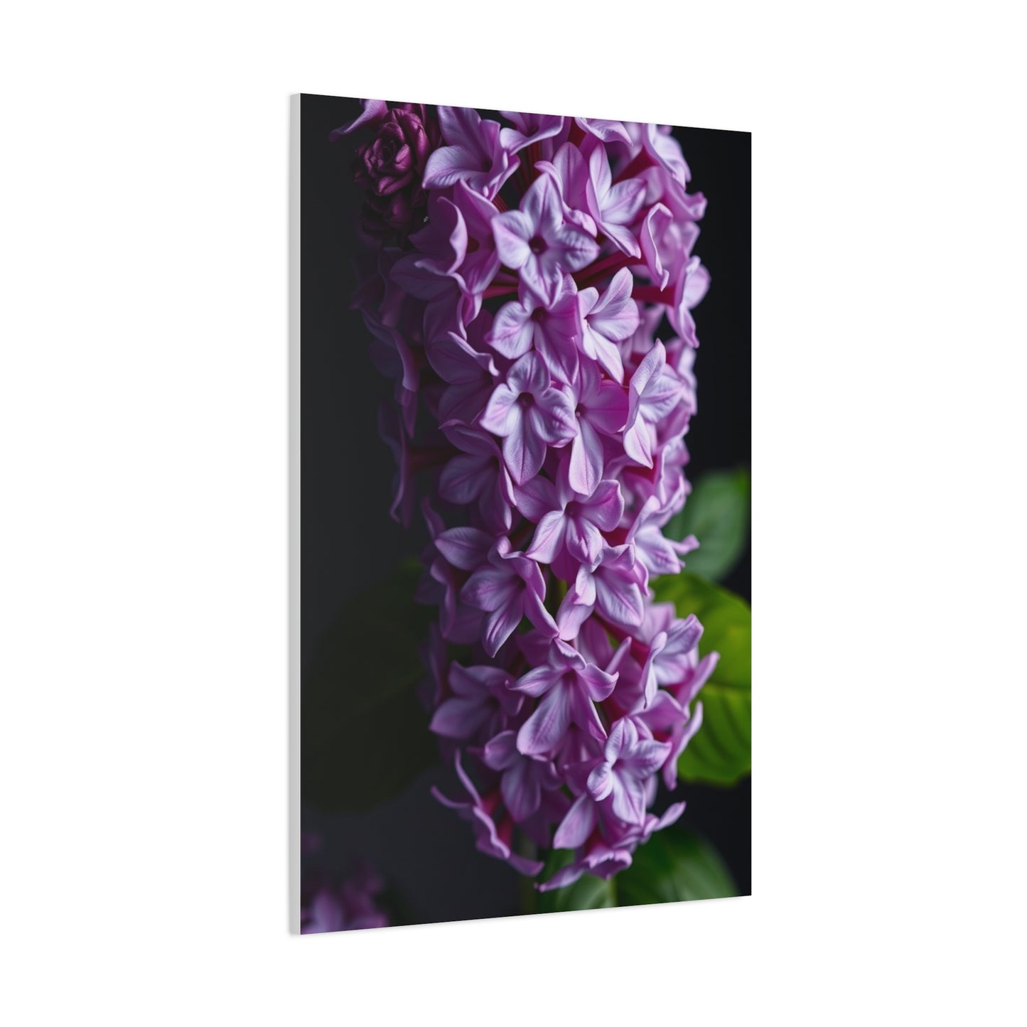 Lilac Flower Art Luxury Canvas Wall Art & Canvas Print