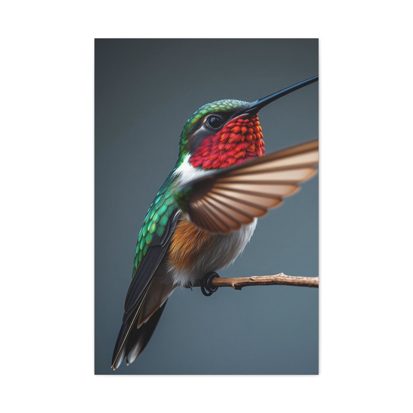 Humming Bird Art Luxury Canvas Wall Art & Canvas Print