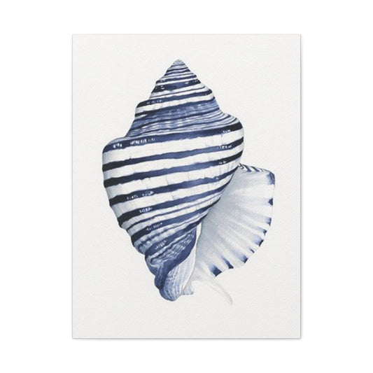Blue & White Shell Drawing Wall Art & Canvas Prints