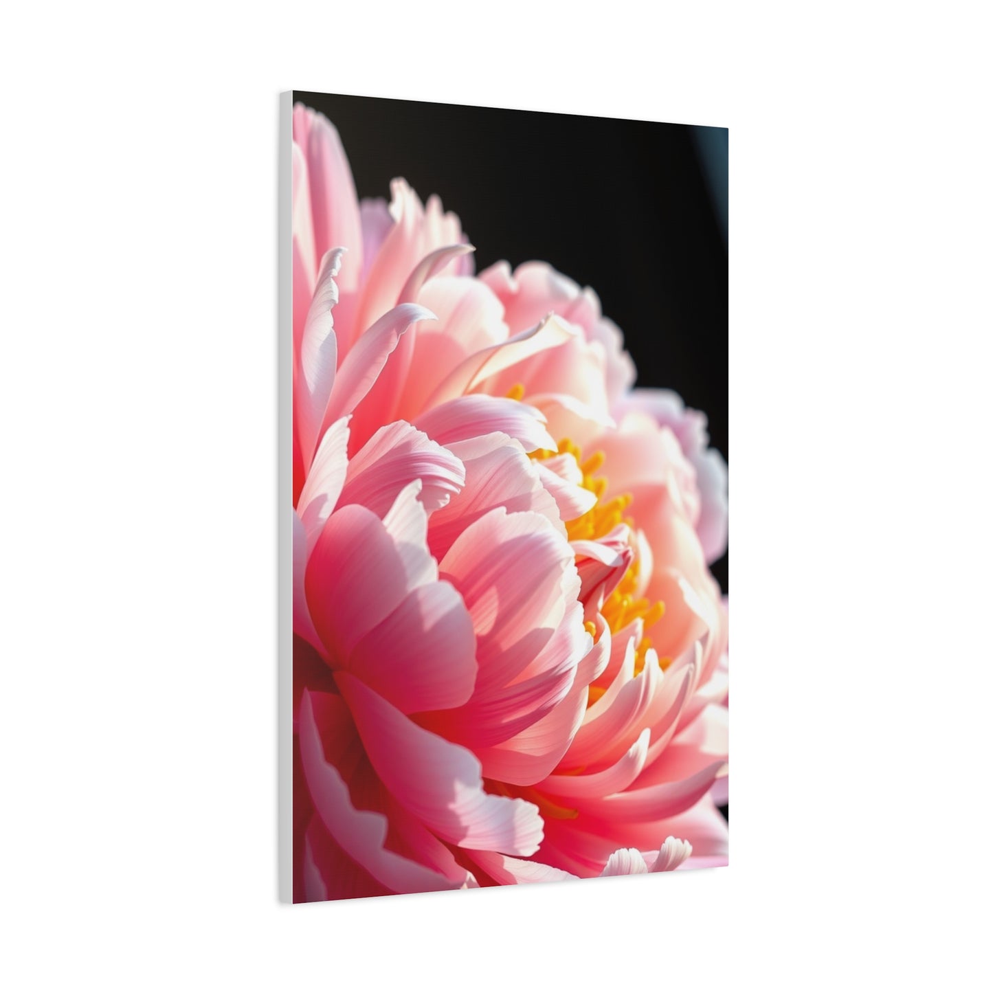 Opulent Peony Reverie Wall Art & Canvas Print