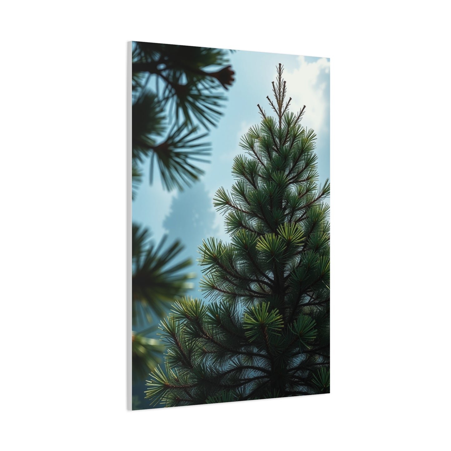Supreme Pine Tree Art Collection Wall Art & Canvas Print