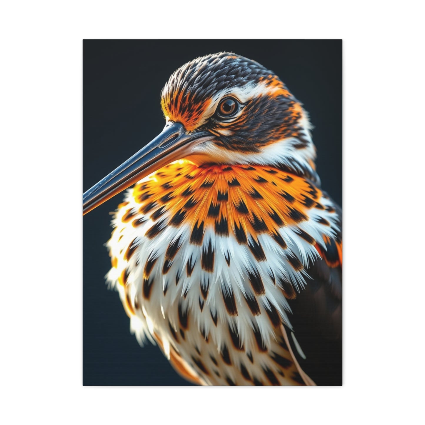 Supreme Sandpiper Art Collection Wall Art & Canvas Print