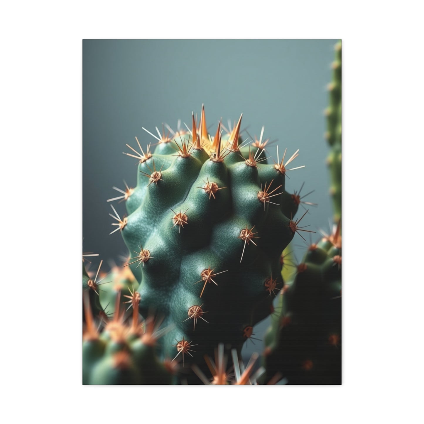 Cactus Harmony Canvas Wall Art & Canvas Print