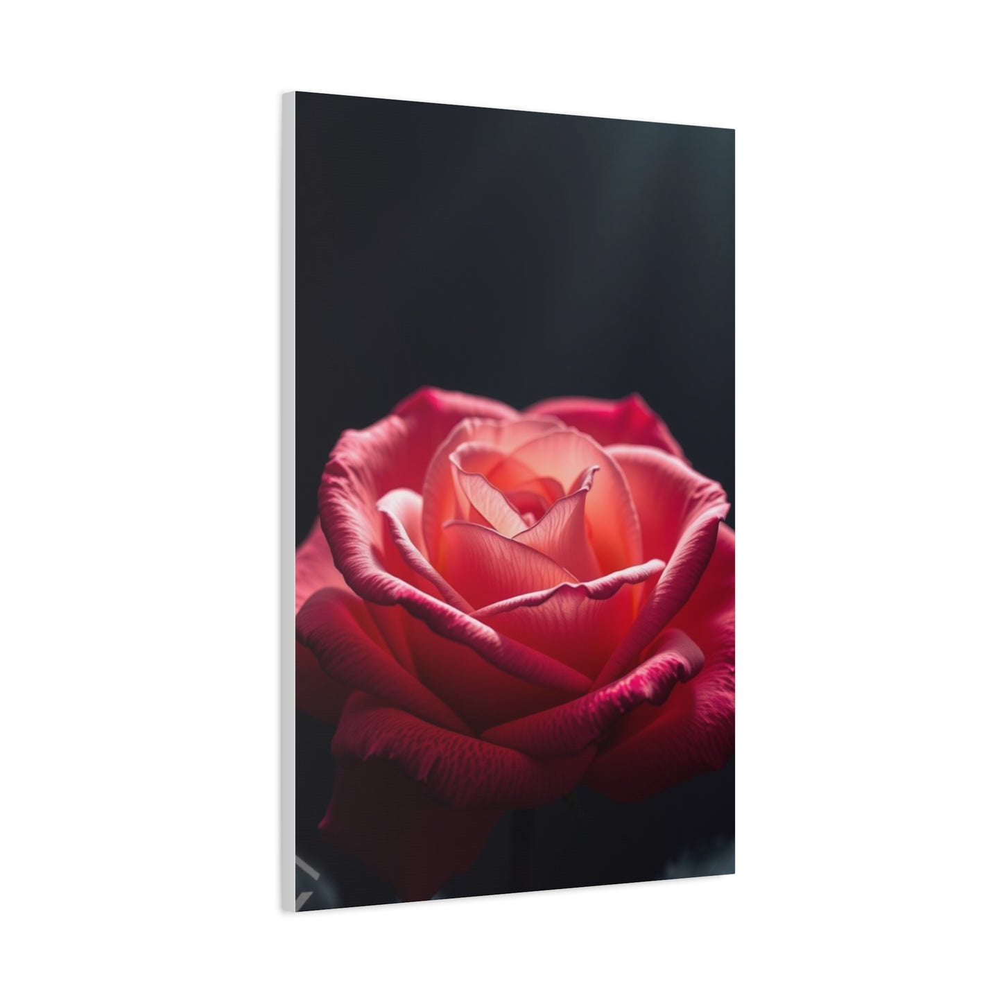 Rose Flower Art Supreme Gallery Wall Art & Canvas Print