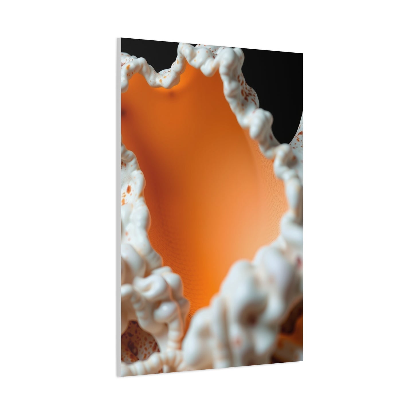 Supreme Sea Shell Art Collection Wall Art & Canvas Print