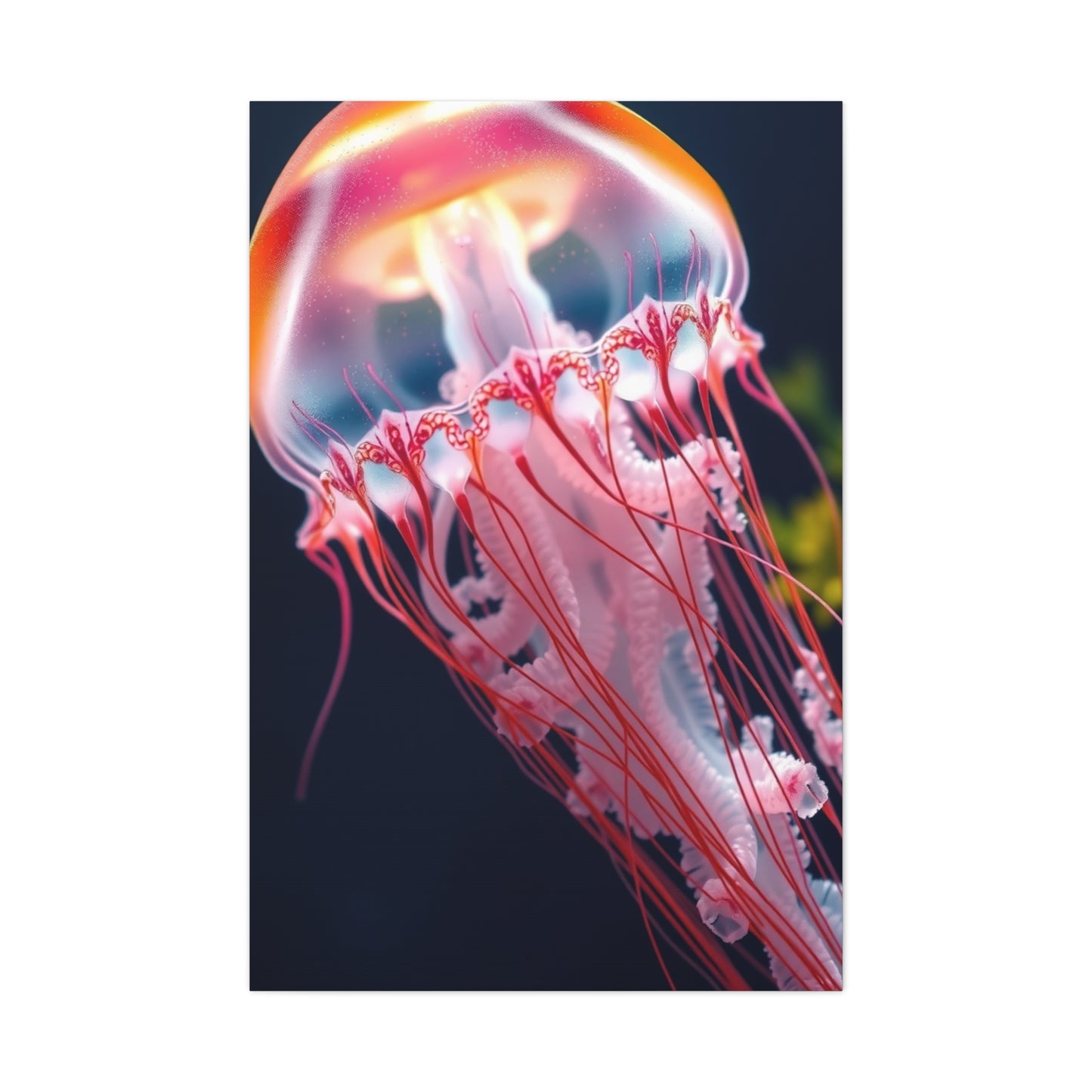 Supreme Jellyfish Art Collection Wall Art & Canvas Print