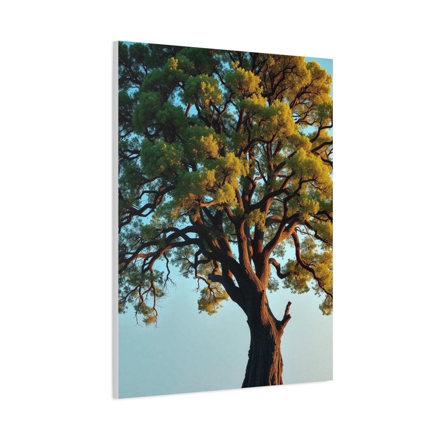 Oak Tree Art Supreme Gallery Wall Art & Canvas Print