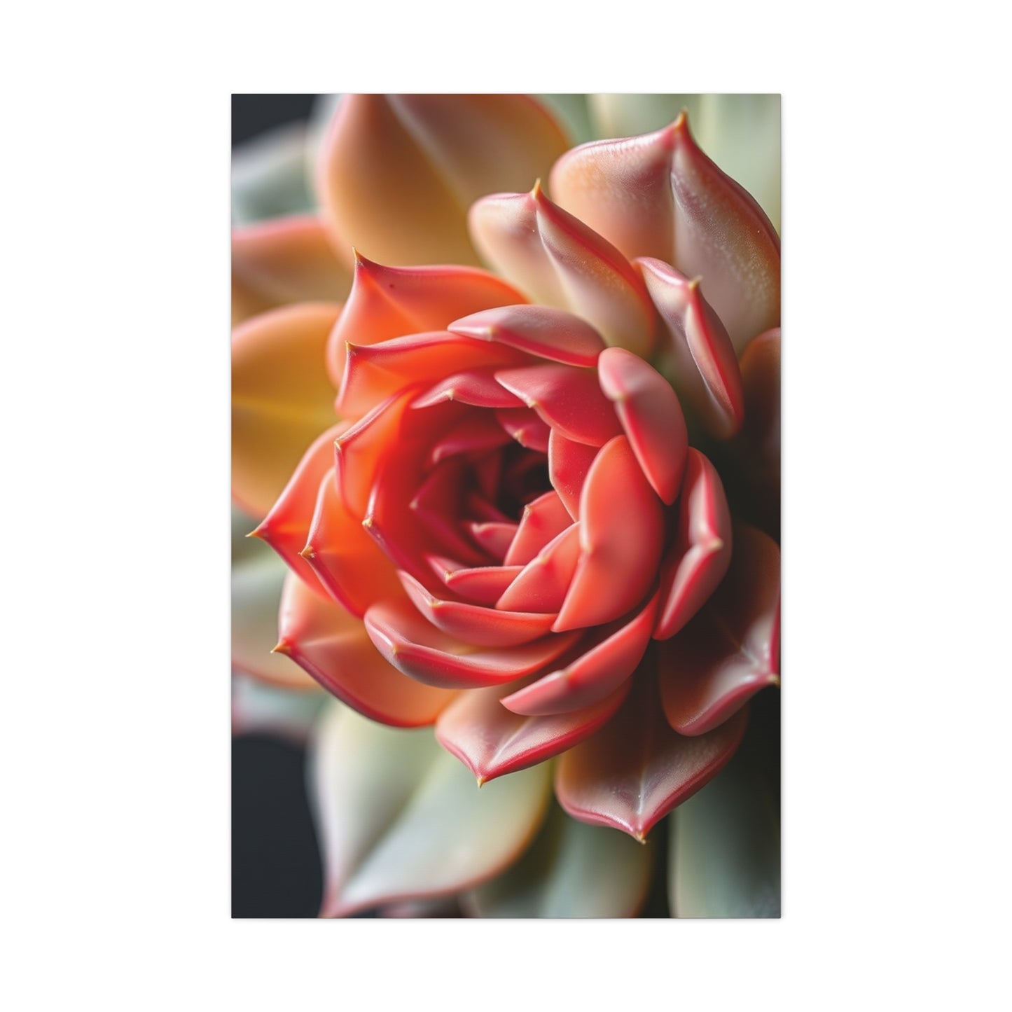 Elite Succulent Art Vision Wall Art & Canvas Print