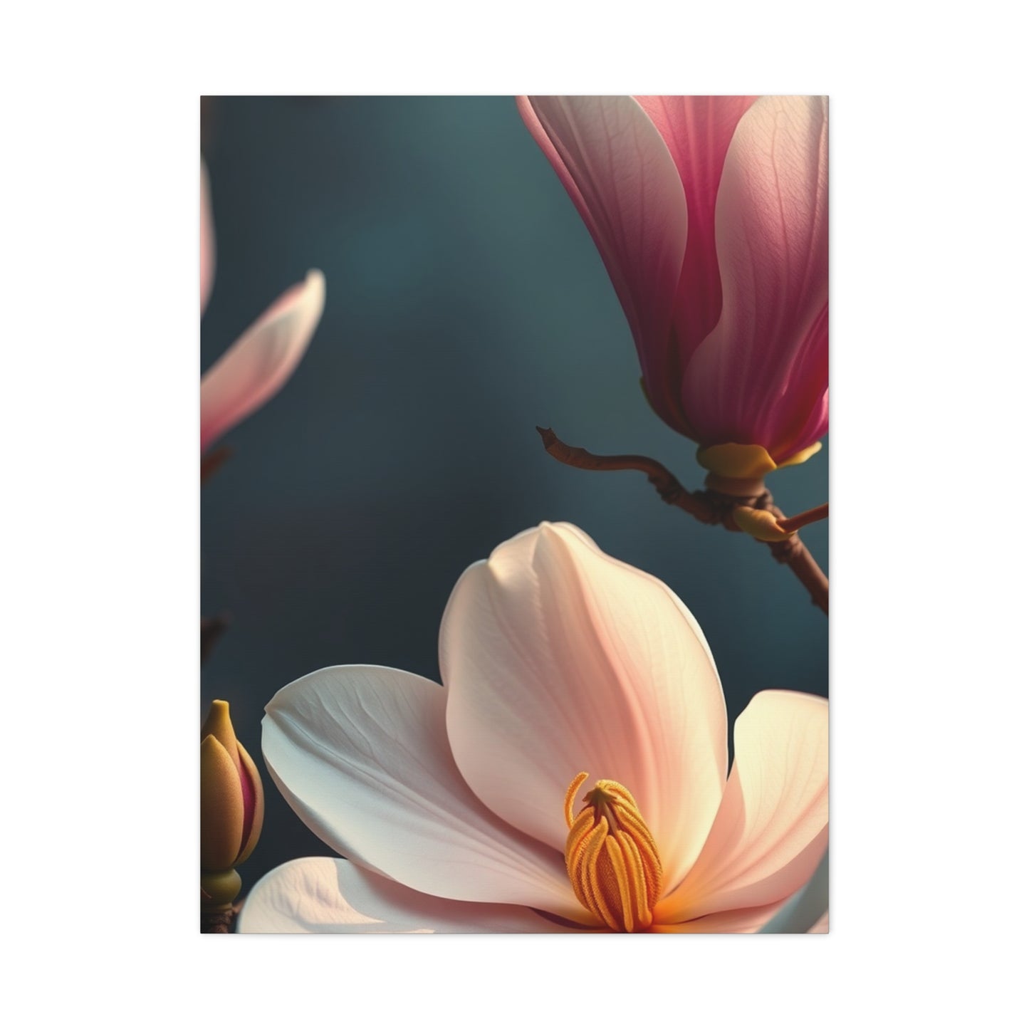 Elite Magnolia Art Vision Wall Art & Canvas Print