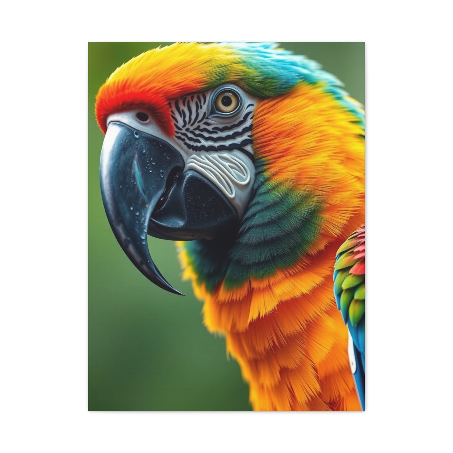 Parrot Art Supreme Gallery Wall Art & Canvas Print
