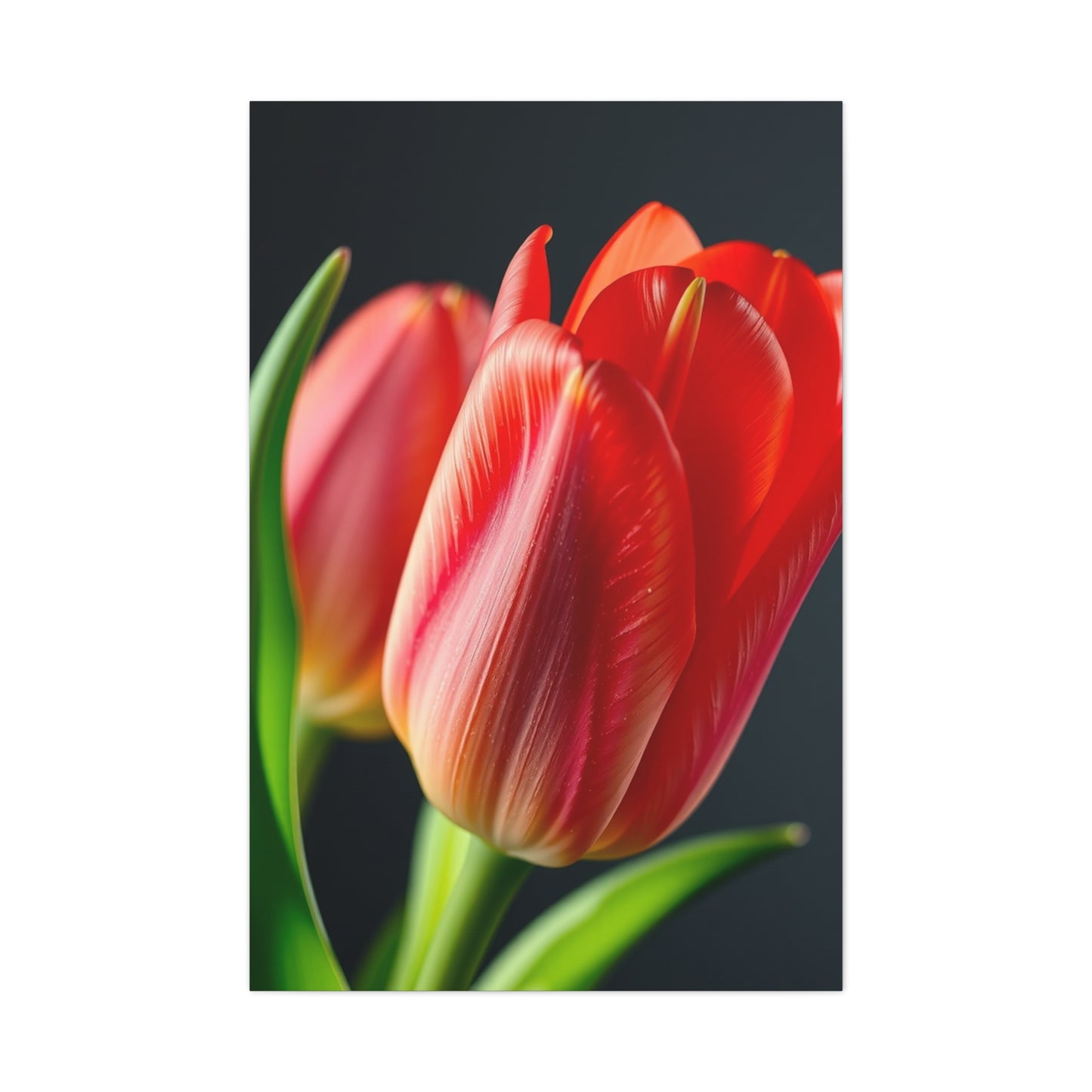 Tulip Flower Art Refined Canvas Wall Art & Canvas Print