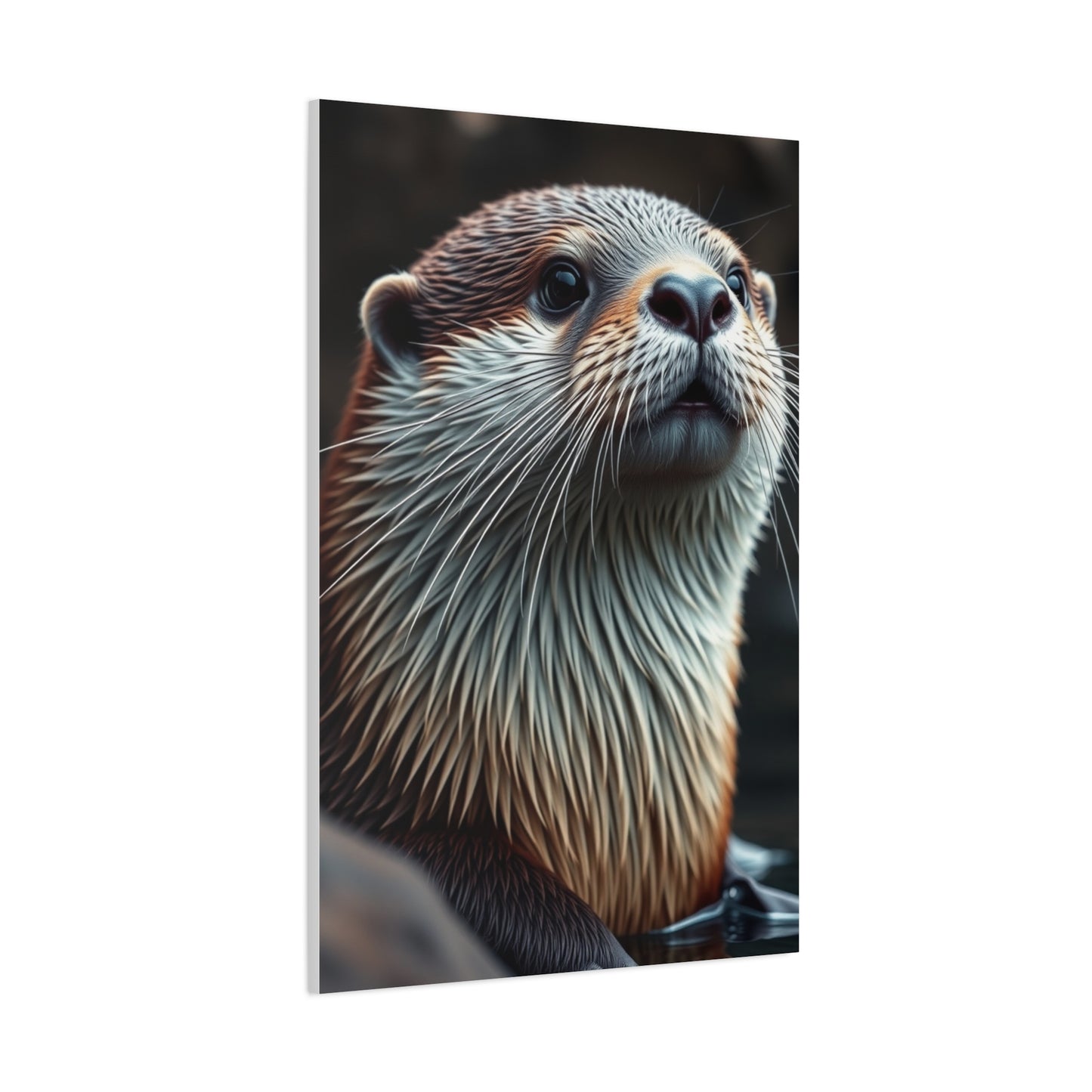 Supreme Otter Art Collection Wall Art & Canvas Print