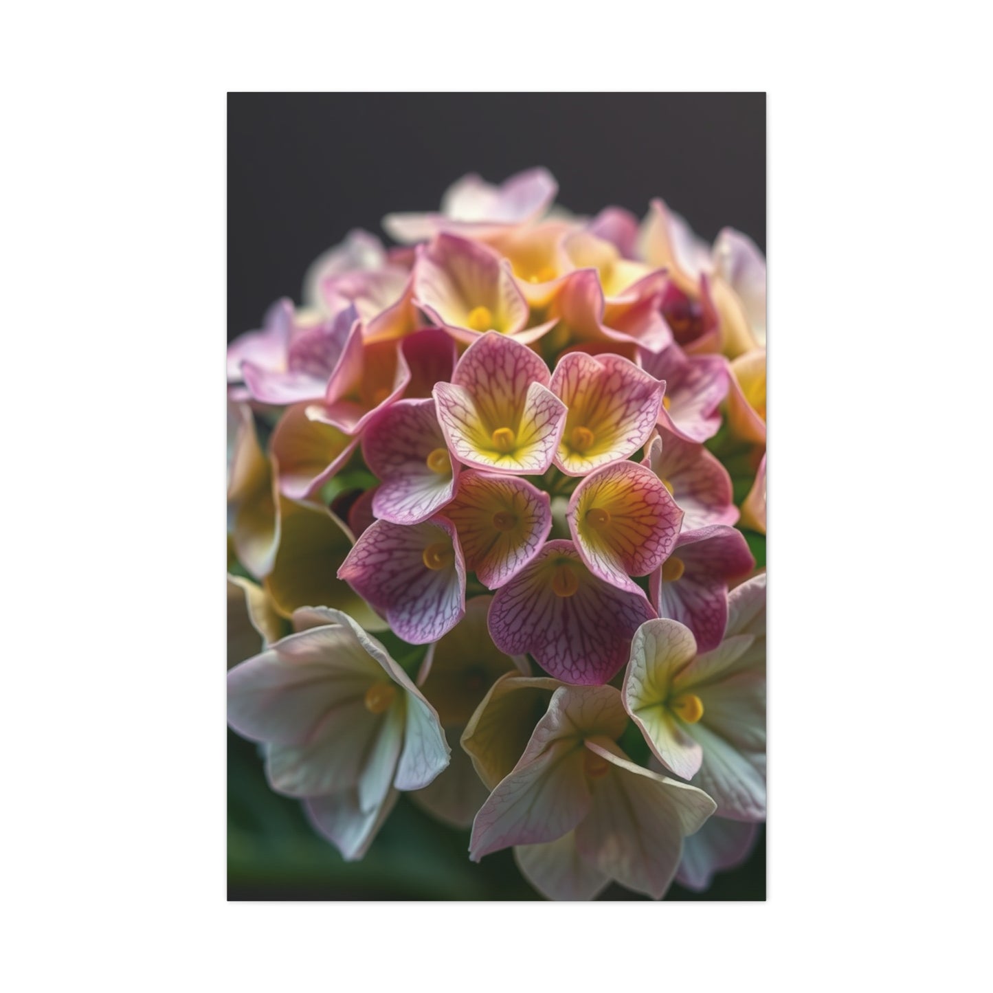 Vision Hydrangea Flower Art Art Wall Art & Canvas Print