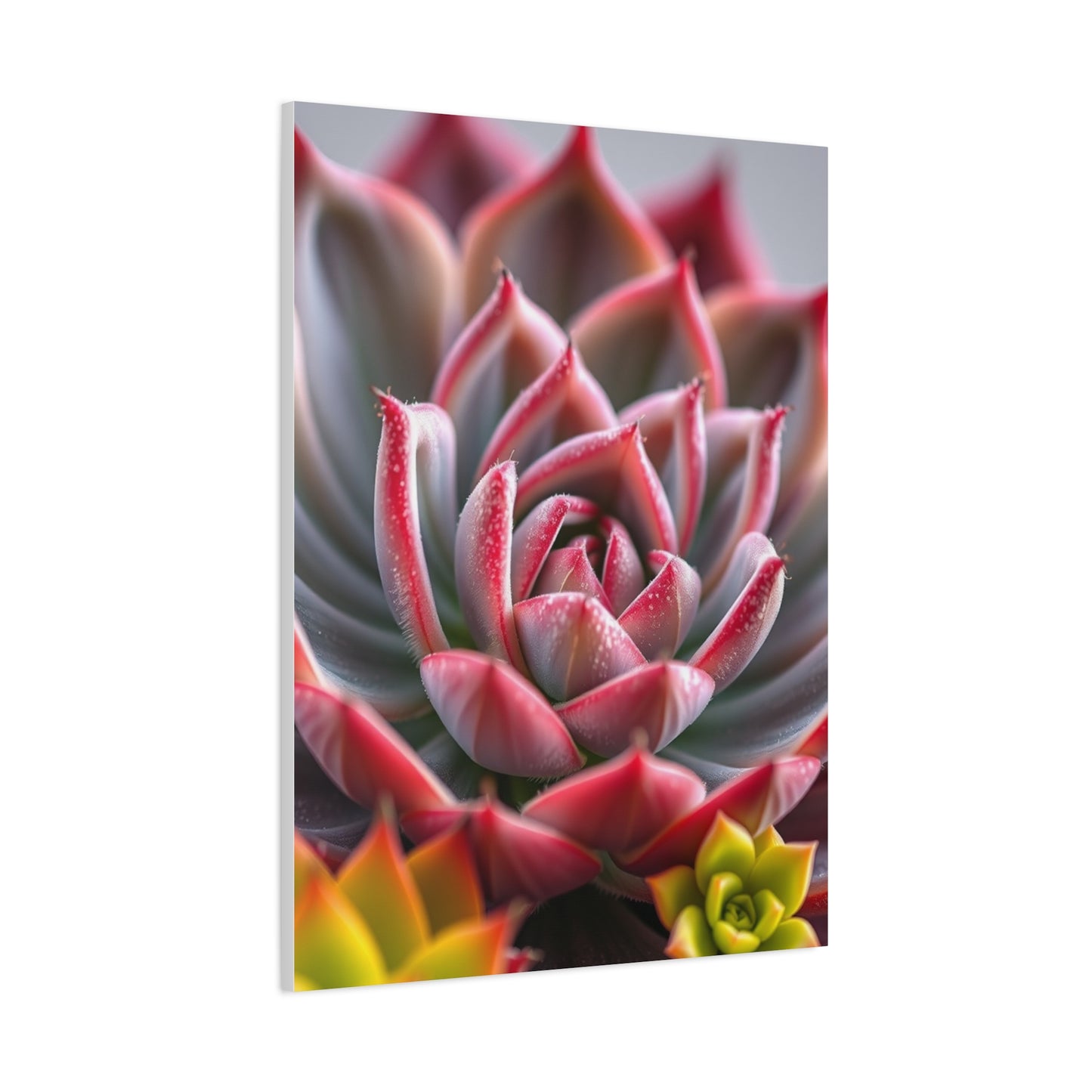 Succulent Art Supreme Gallery Wall Art & Canvas Print