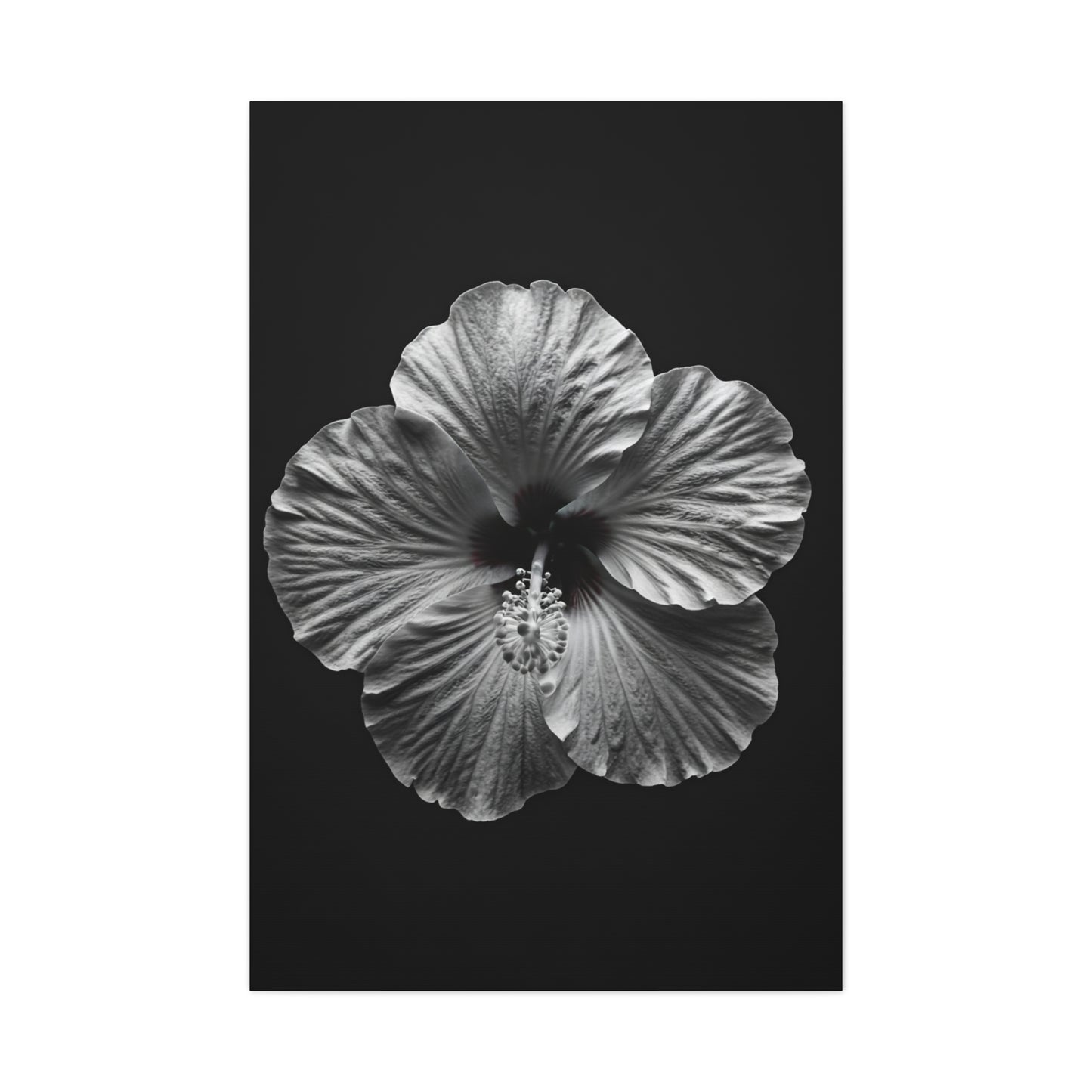 Monochrome Hibiscus Elegance Wall Art & Canvas Prints