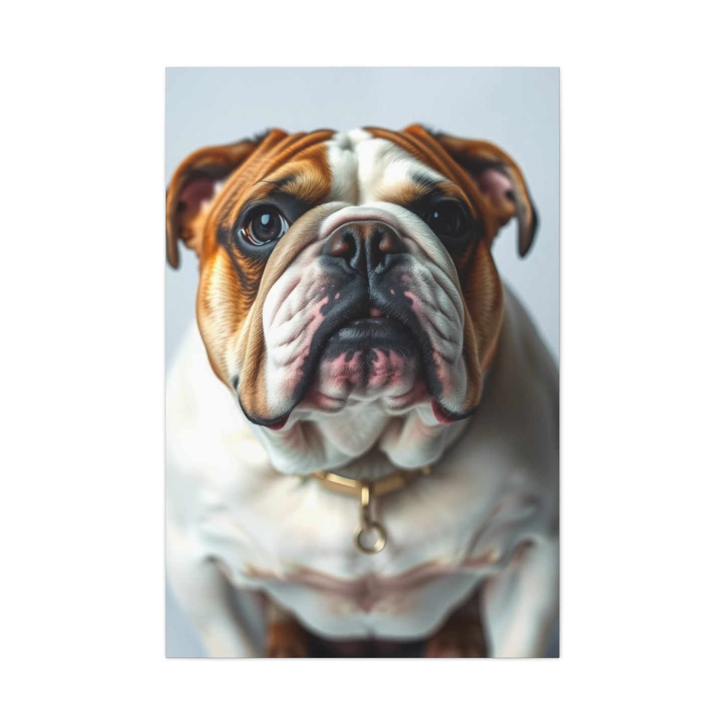 Supreme Bulldog Art Collection Wall Art & Canvas Print