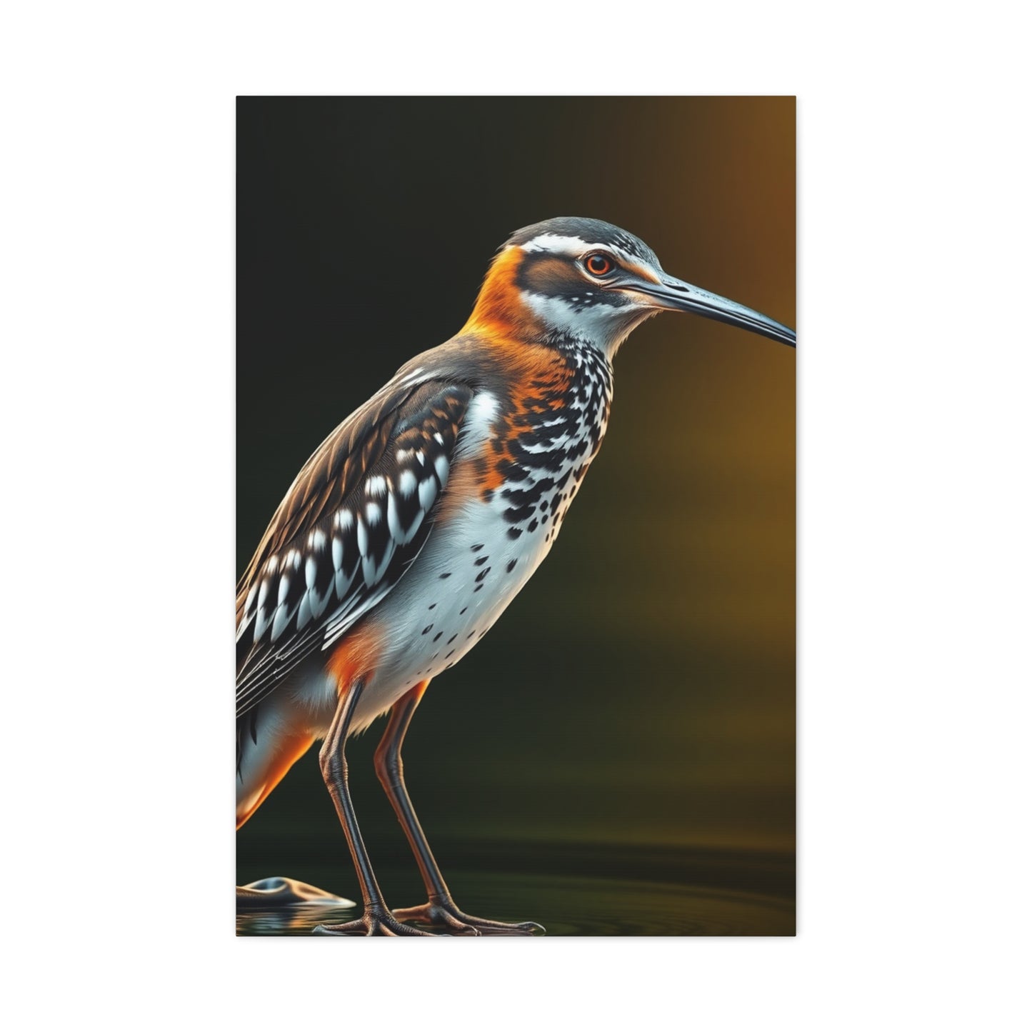 Supreme Sandpiper Art Collection Wall Art & Canvas Print