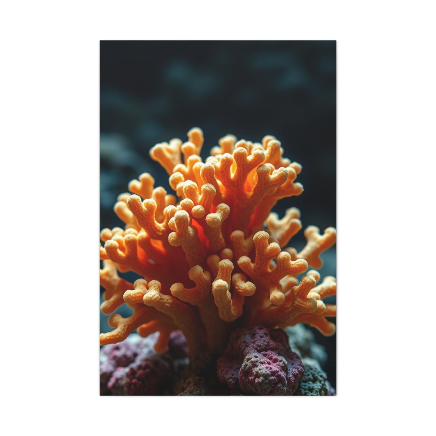Supreme Coral Art Collection Wall Art & Canvas Print