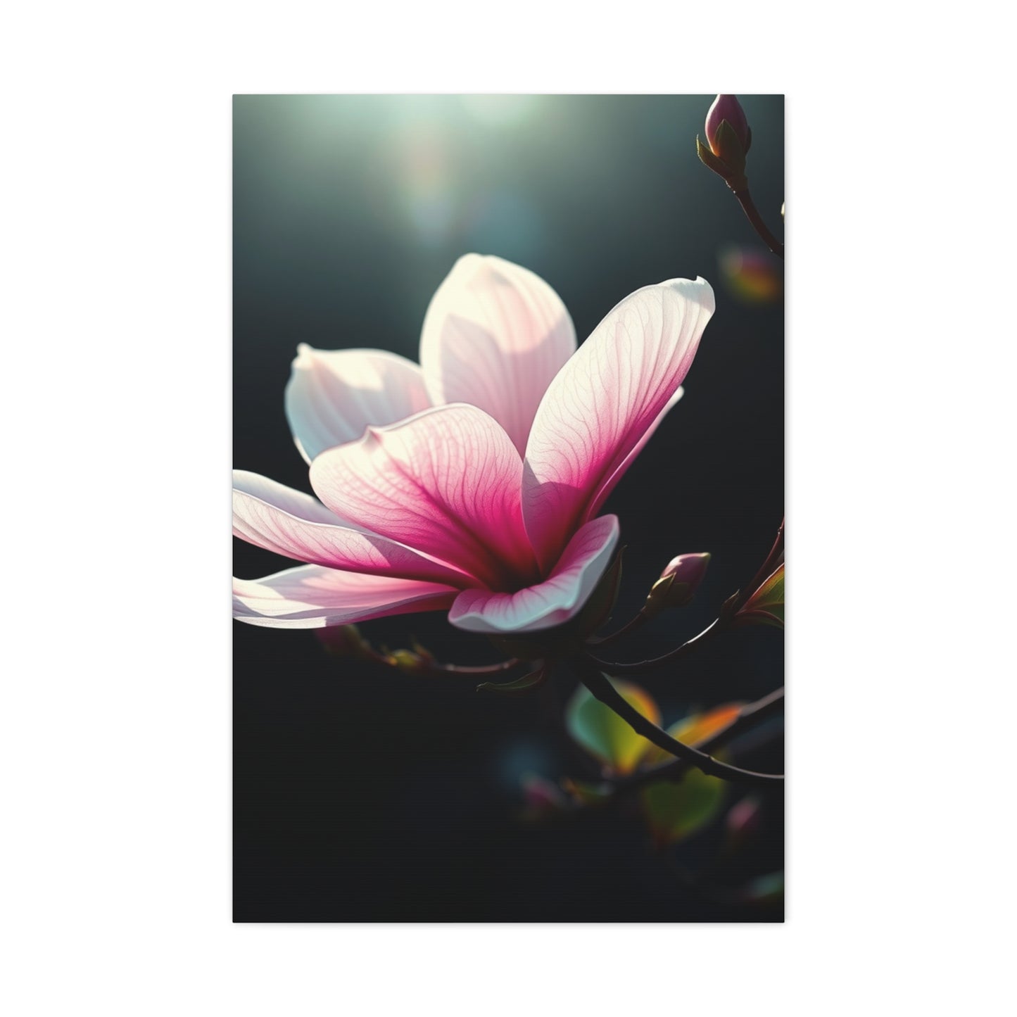Vision Magnolia Art Art Wall Art & Canvas Print