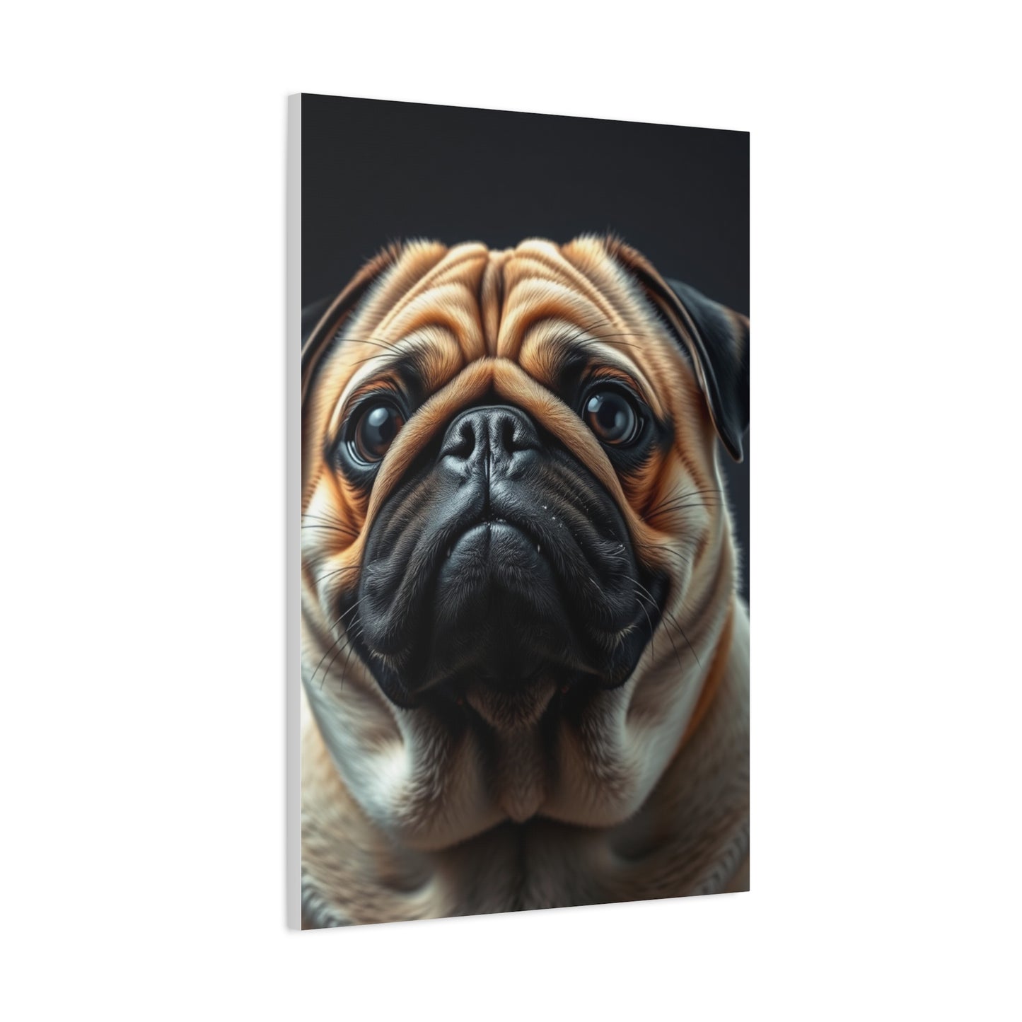 Supreme Pug Art Collection Wall Art & Canvas Print