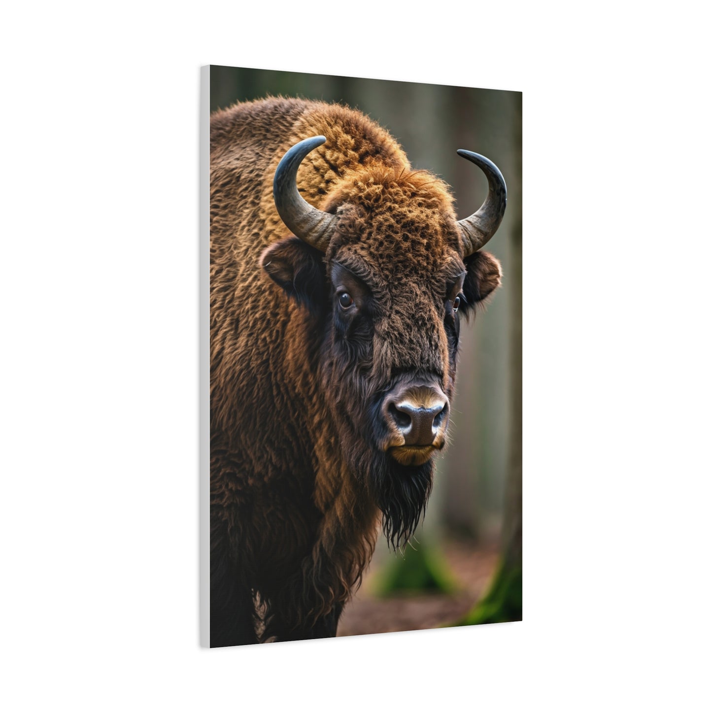 Wood Bison Close-Up with Soft Forest Backdrop Wall Art & Canvas Print