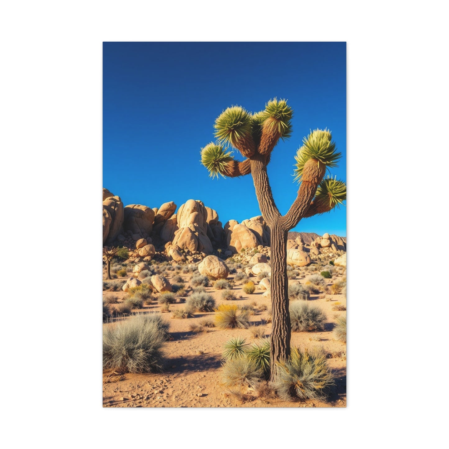 Joshua Tree National Park Art Luxury Canvas Wall Art & Canvas Print