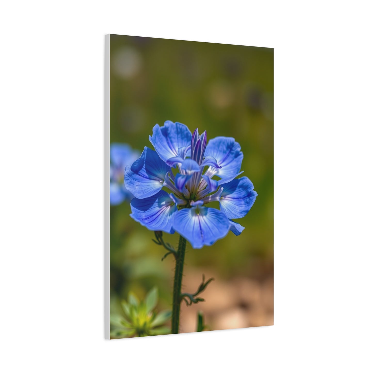 Supreme Bluebonnet Flower Art Collection Wall Art & Canvas Print