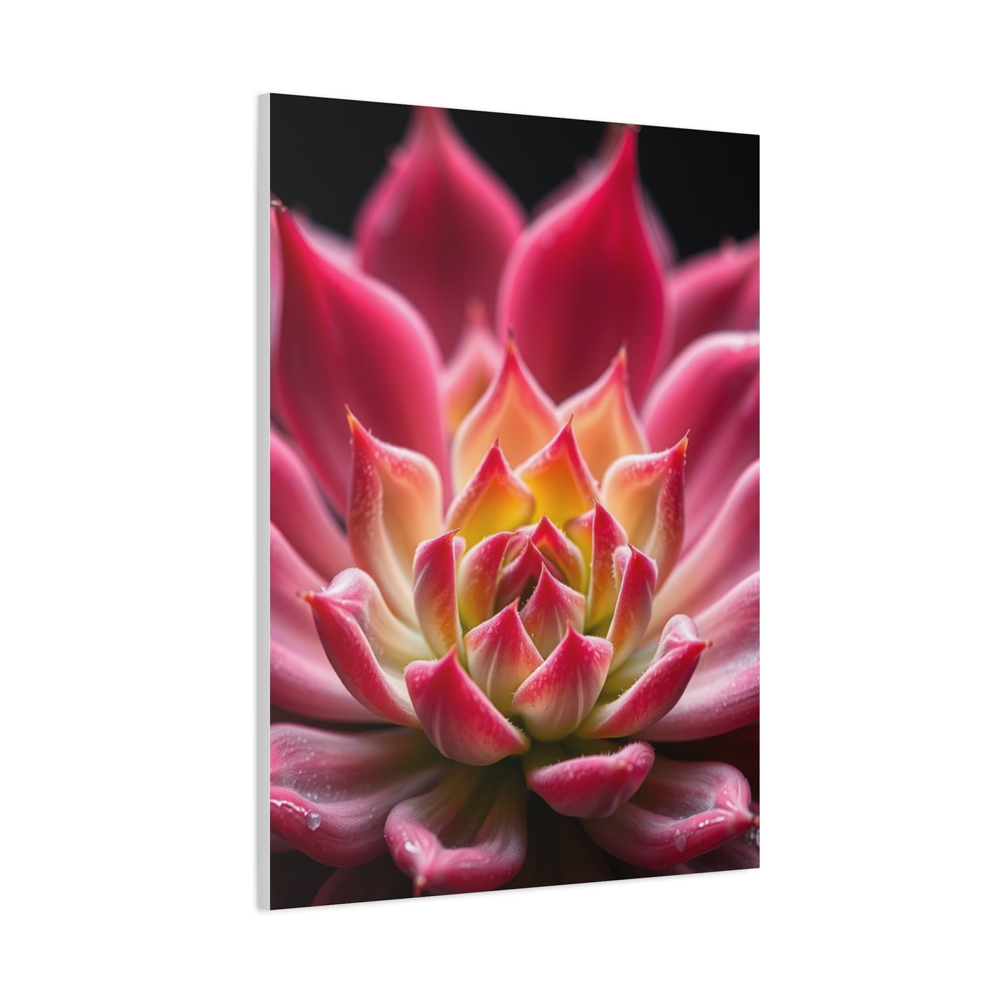 Succulent Art Supreme Gallery Wall Art & Canvas Print