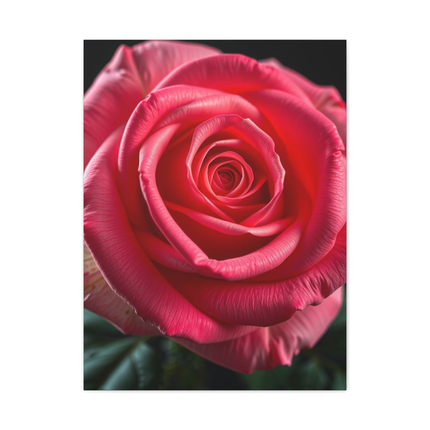 Supreme Rose Art Collection Wall Art & Canvas Print