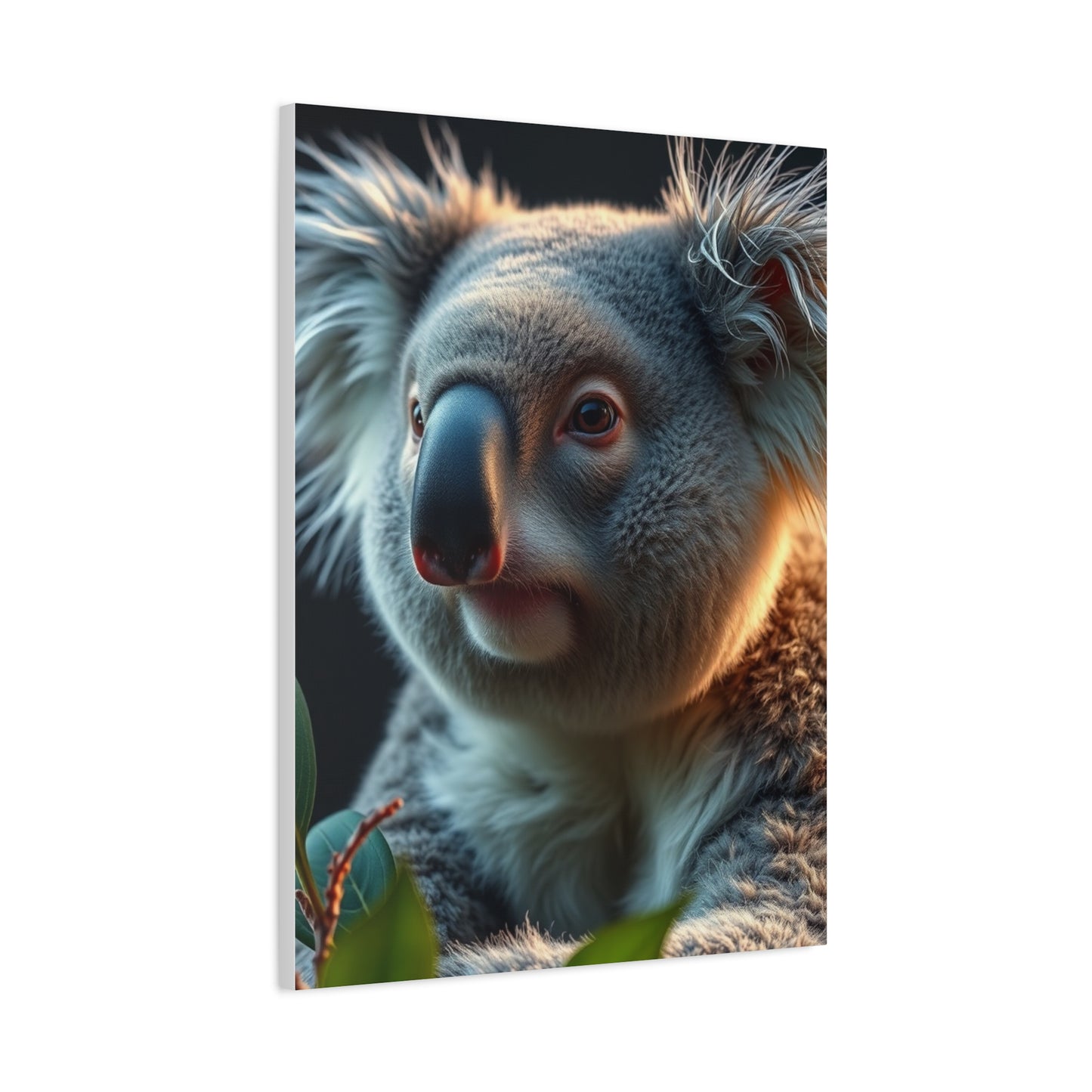 Supreme Koala Art Collection Wall Art & Canvas Print