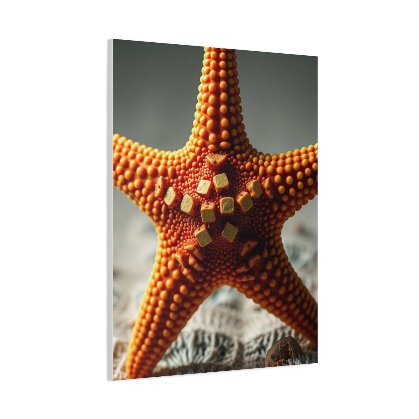 Supreme Starfish Art Collection Wall Art & Canvas Print