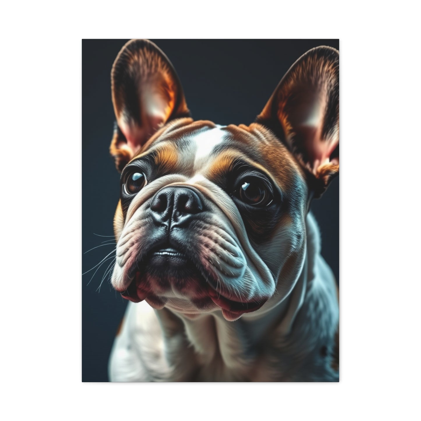 Noble Bulldog Portraiture