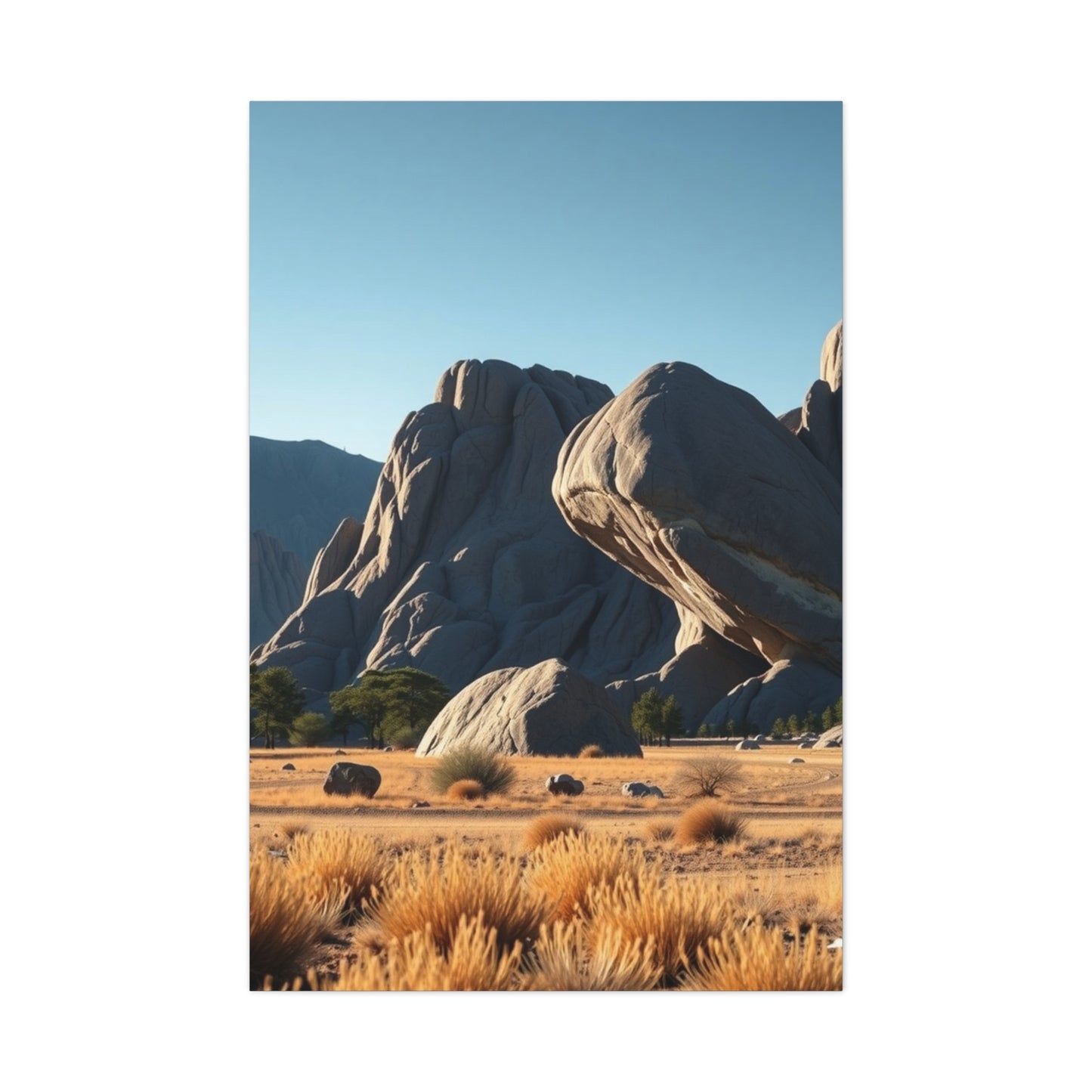 Boulder Art Luxury Canvas Wall Art & Canvas Print