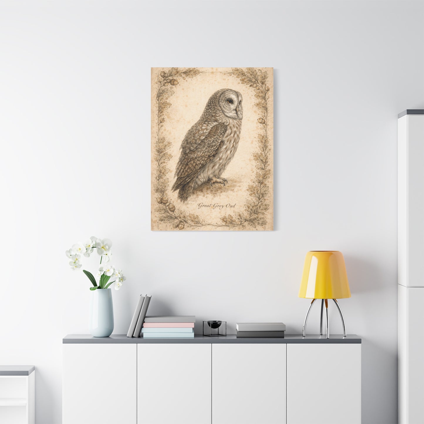 Antique Natural History Owl Study Wall Art & Canvas Print