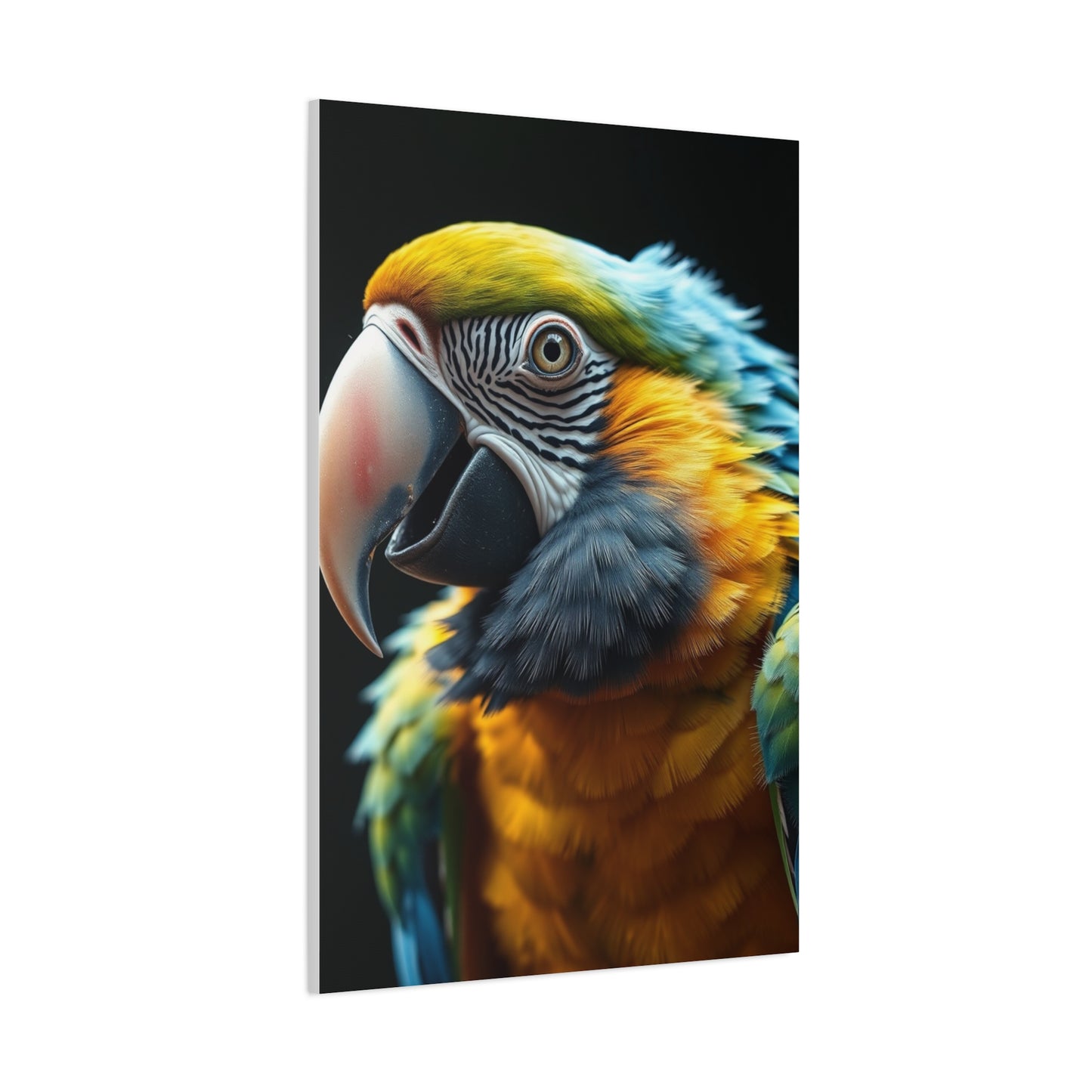 Parrot Art Refined Canvas Wall Art & Canvas Print