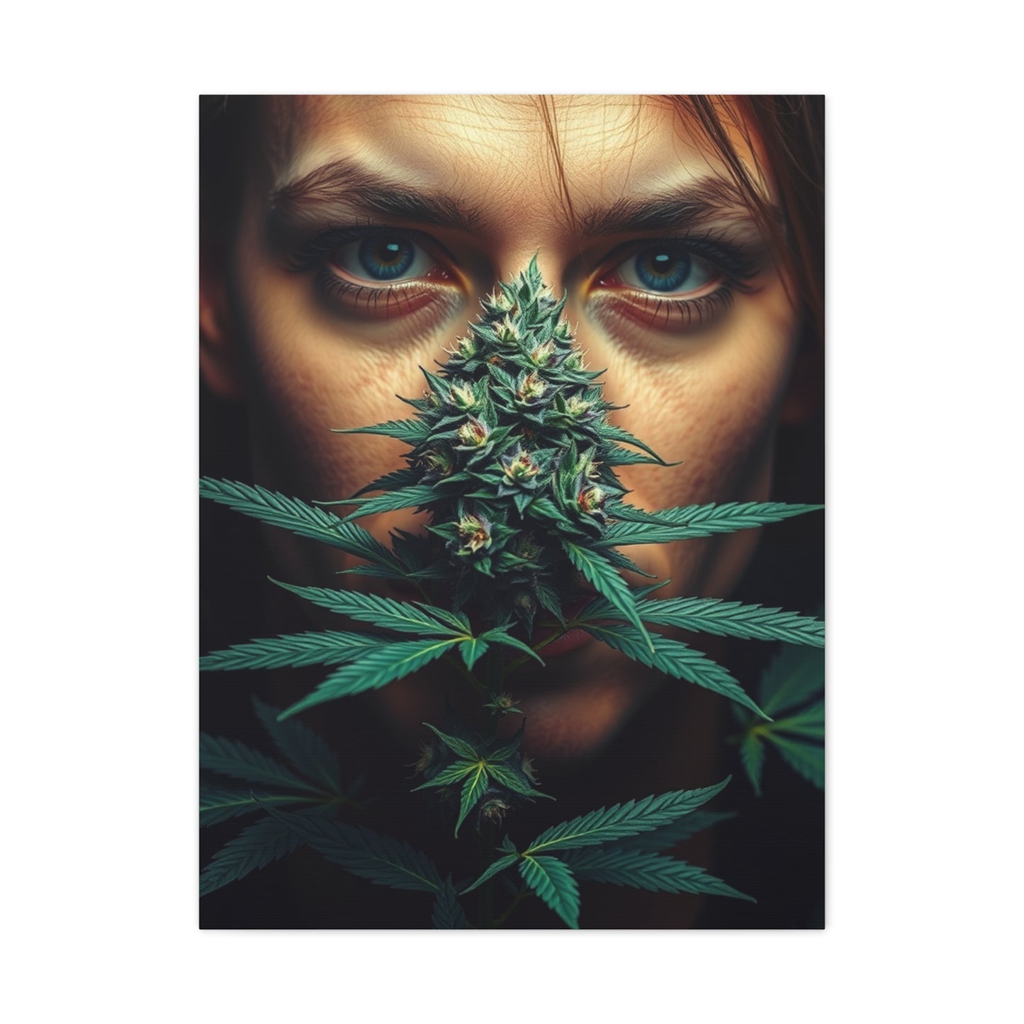 Natures Harmony Wall Art Wall Art & Canvas Print