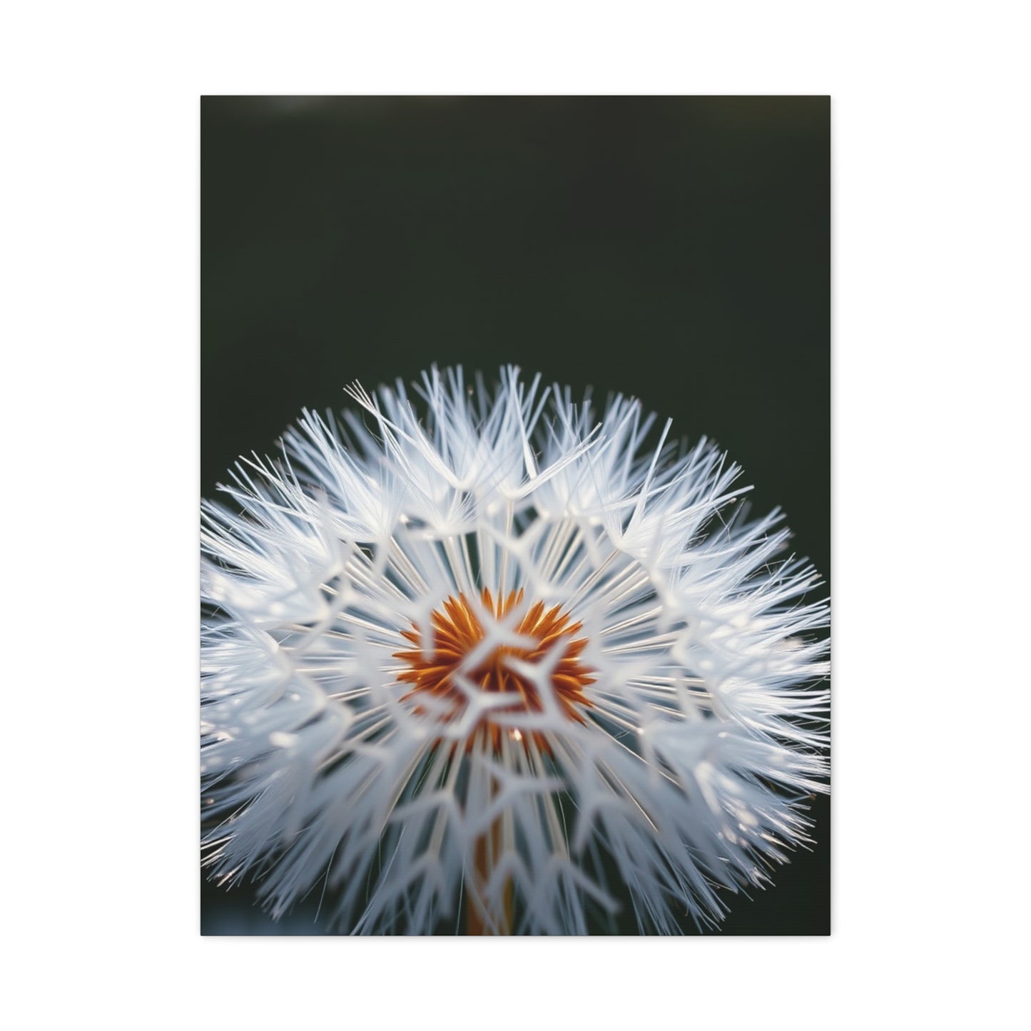 Elite Dandelion Flower Art Vision Wall Art & Canvas Print