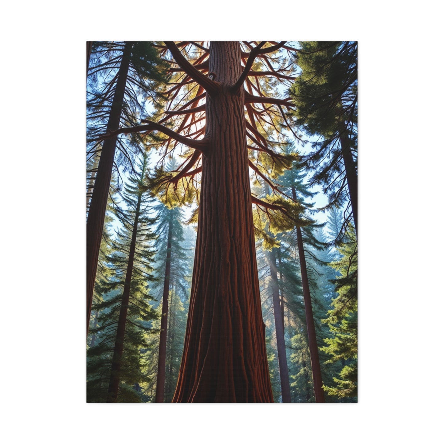 Masterpiece Redwood Tree Art Vision Wall Art & Canvas Print