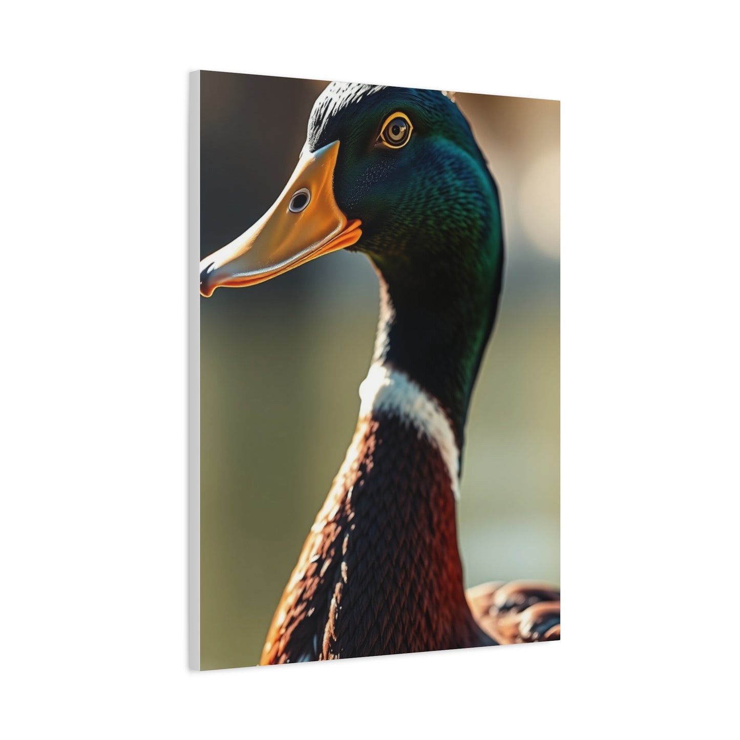 Supreme Duck Art Collection Wall Art & Canvas Print