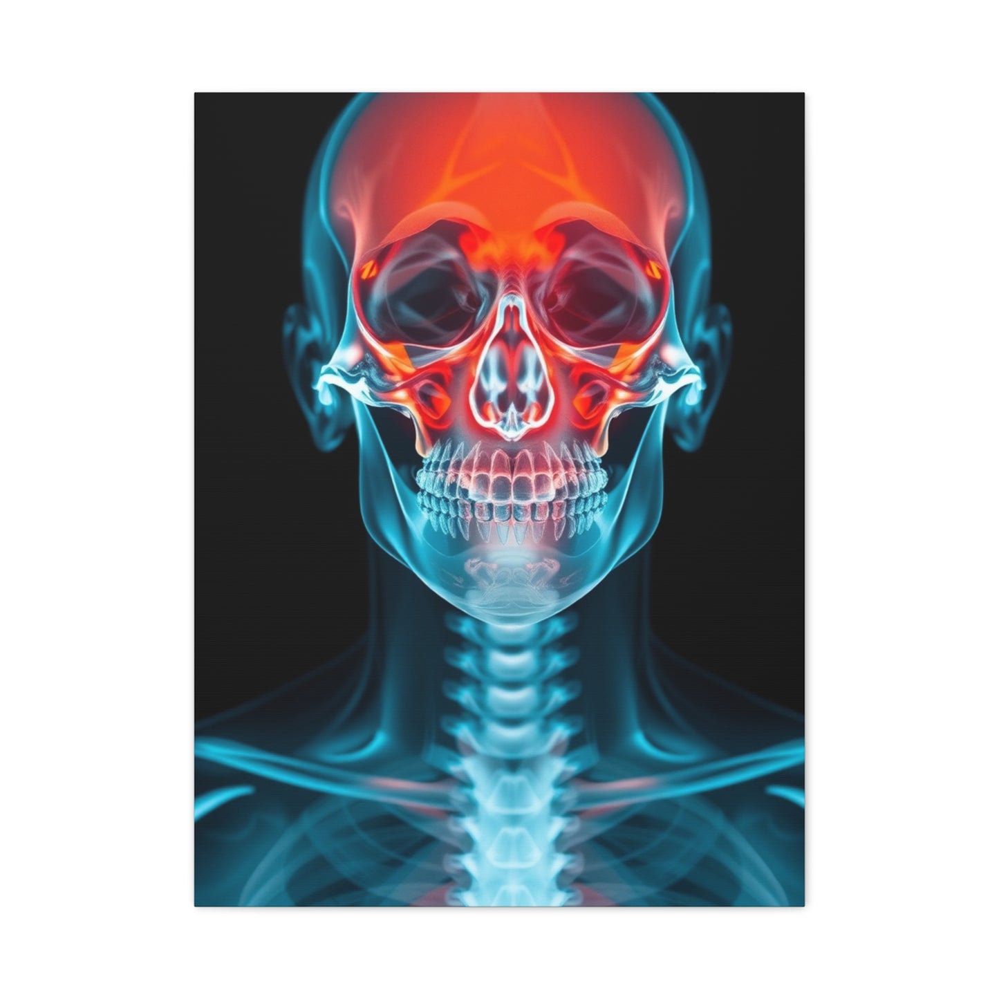 X-Ray Photography Art Supreme Gallery Wall Art & Canvas Print