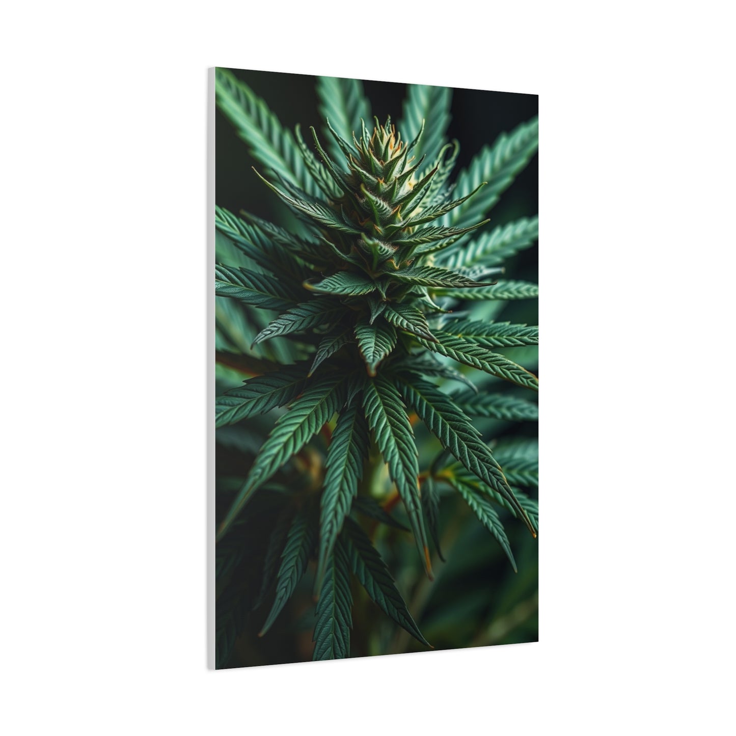 Ethereal Greenscape Art Wall Art & Canvas Print