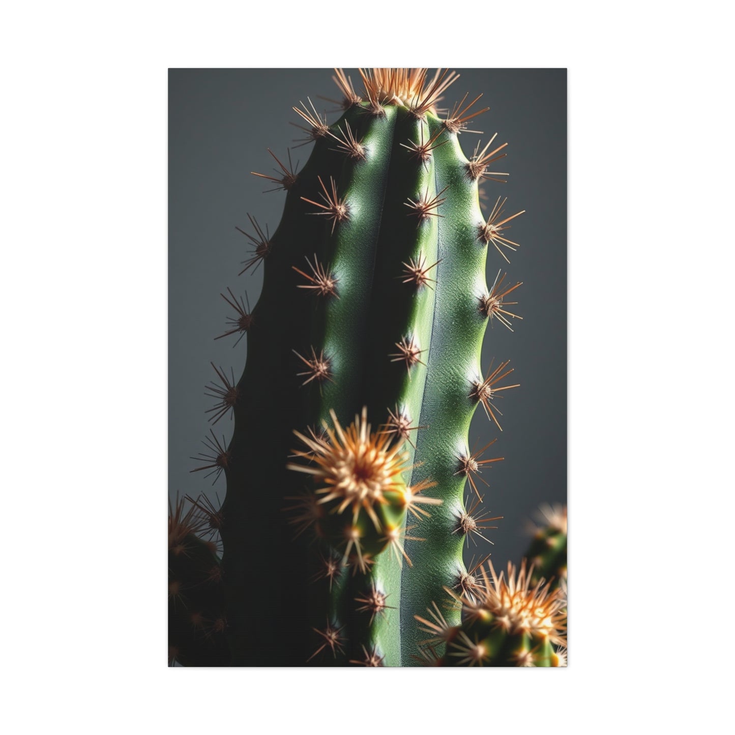 Thorned Tranquility Art Wall Art & Canvas Print