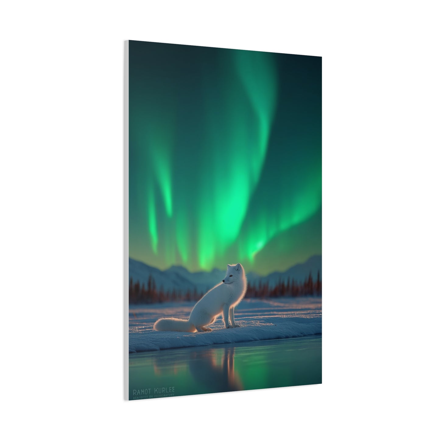 Arctic Fox Aurora Night Wall Art & Canvas Print